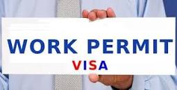work permit visa 2022 এর ছবির ফলাফল