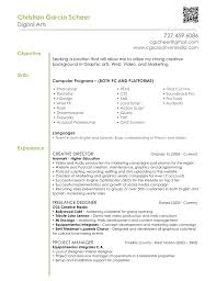 Resumes With Objective Examples Graphicesigner Resume