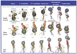 conditioning program structure for mma