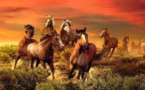 If you're looking for the best horse wallpaper then wallpapertag is the place to be. Seven Horses Wallpapers Wallpaper Cave