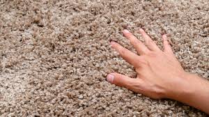 carpeting clean