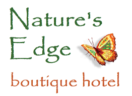 reviews nature s edge boutique hotel