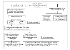Meningitis Lab Manual Id And Characterization Of