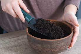 How To Sterilize Soil The Ultimate