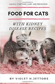 cats with kidney disease recipes