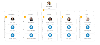Keep Your Business Organizational Chart Updated Automatically