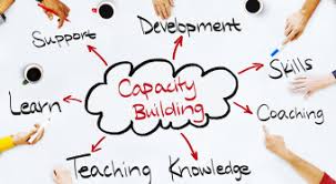 Business Capacity Building Tips