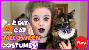 easy diy cat halloween costumes