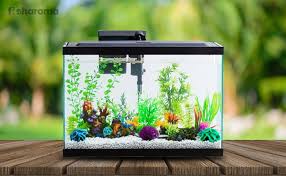 10 Gallons Fish Tank Simple Diys To Set An Aquarium