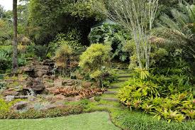 Tropical Garden Design Garden Design