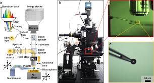 microsphere assisted nanospot non