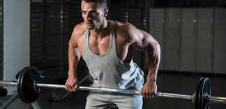 the best push pull legs routine for