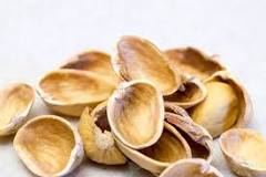 Can pistachio shells be used for anything?