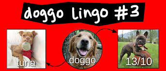 Doggo Meme Diagram Part 3 Video Diagram Lucidchart Blog