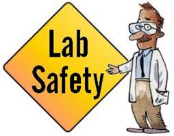 Science 1 Eso Lab Safety