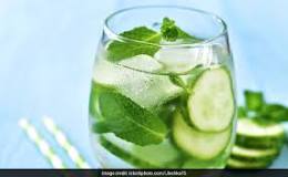 Is cucumber a fat burner?