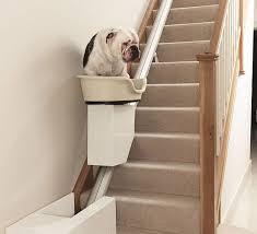 expensive dog stair lift