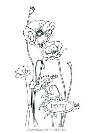 Poppy Coloring Page Gravityfreeradio Com