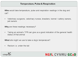 Tpr Temperature Pulse Respiration Ppt Video Online