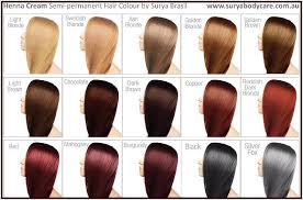 the ion demi permanent hair color chart