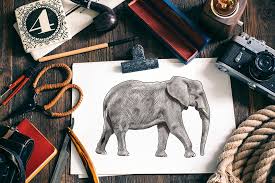 How To Draw An Elephant Create A