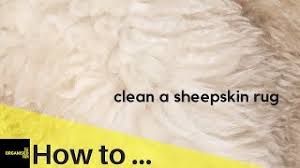 how to clean a sheepskin rug so easy