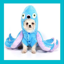 See more ideas about elephant costumes, costumes, kids costumes. 69 Dog Halloween Costumes Cute Ideas For Pet Costumes
