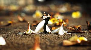 Hasil gambar untuk ARTIKEL photography