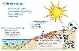 microorganisms and climate change