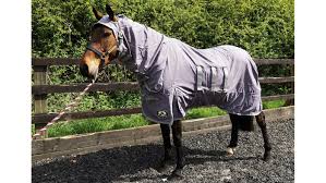 best fly rugs for horses find the best