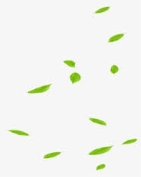 Lift your spirits with funny jokes, trending memes, entertaining gifs, inspiring stories, viral videos, and so much more. Falling Green Leaves Png Images Free Transparent Falling Green Leaves Download Kindpng