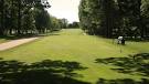 Grand Blanc, Michigan Golf Guide