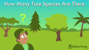 how many tree species are there see