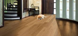 best flooring options for dog owners