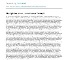 Sections ii, iii, and iv should be at 1.5 spacing, and these sections should not be more than 2 pages total. My Opinion About Homelessness Free Essay Example Papersowl Com