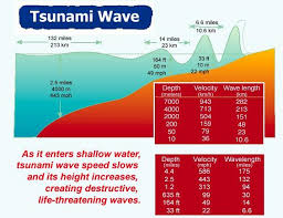 Another Tsunami Pictures Videos Facts Maps Tables