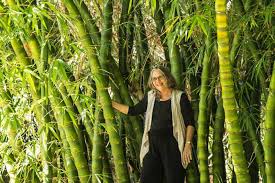 Bamboo In Permaculture With Robyn