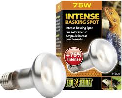 Exo Terra Intense Basking Reptile Spot Lamp 75 W Bulb Chewy Com
