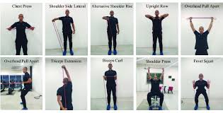 upper body and lower body workouts