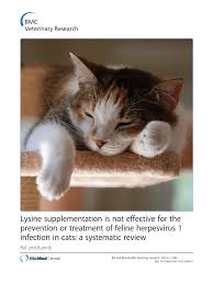 feline herpesvirus 1 infection in cats