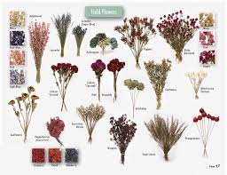 It can be incorporated into your diet to take advantage of. Dried Flowers Easily Grown From Seed For 1 00 Dried Flowers Wholesale Dried Flowers How To Preserve Flowers