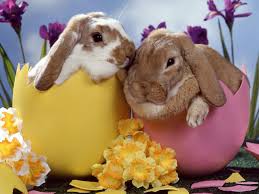 wish you all a very happy easter