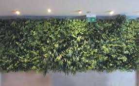 Indoor Green Walls Gallery For Hotels