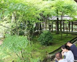 ryoan ji the contemplative stone garden