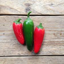 Likewise, ¿cómo se debe sembrar el chile jalapeño? Hot Pepper Jalapeno M Piccolo Seeds