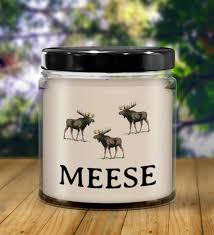 35 unique moose gifts for those who