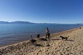 south lake tahoe with your dog