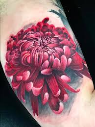chrysanthemum by steve phipps tattoos