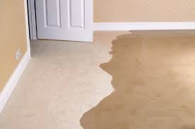 carpet water damage a plus carpet
