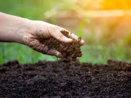 What Is Soil Percolation How To Test